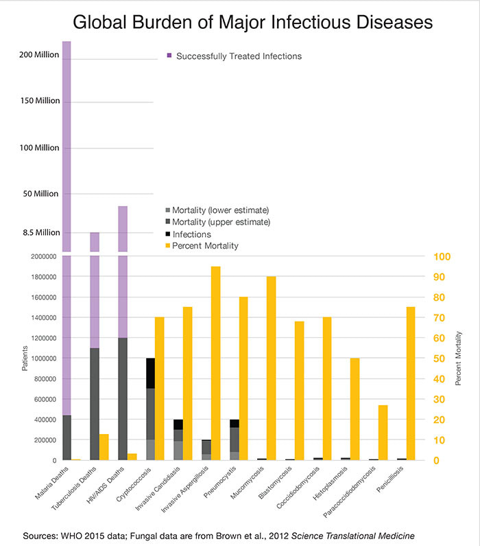 Fungal diseases deserve our attention
